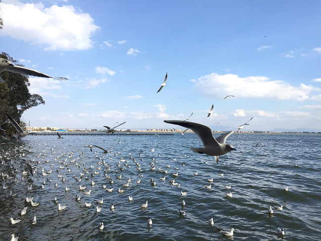 昆明康輝旅行社